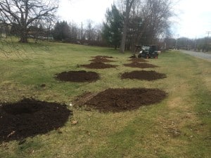 Hilltop Landscaping - Florham Park Tree Planting