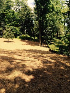 Hilltop Landscaping - BackYard 1